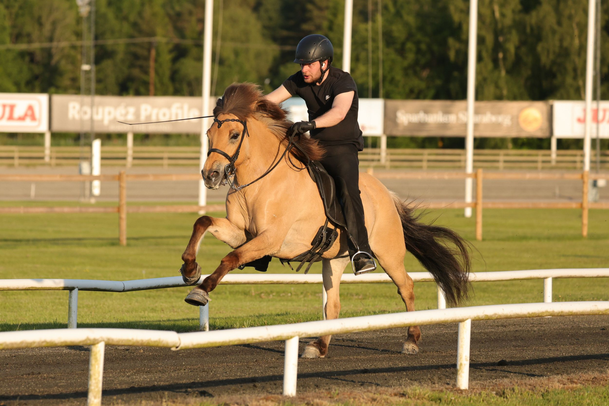 FRI ANV&Auml;NDNING 1 &Aring;R &THORN;&aacute;ga Fr&aring;n Pr&auml;stg&aring;rden M&aacute;ni Hilmarsson