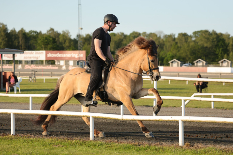Axevalla: Sto från Prästgården toppade fredagen