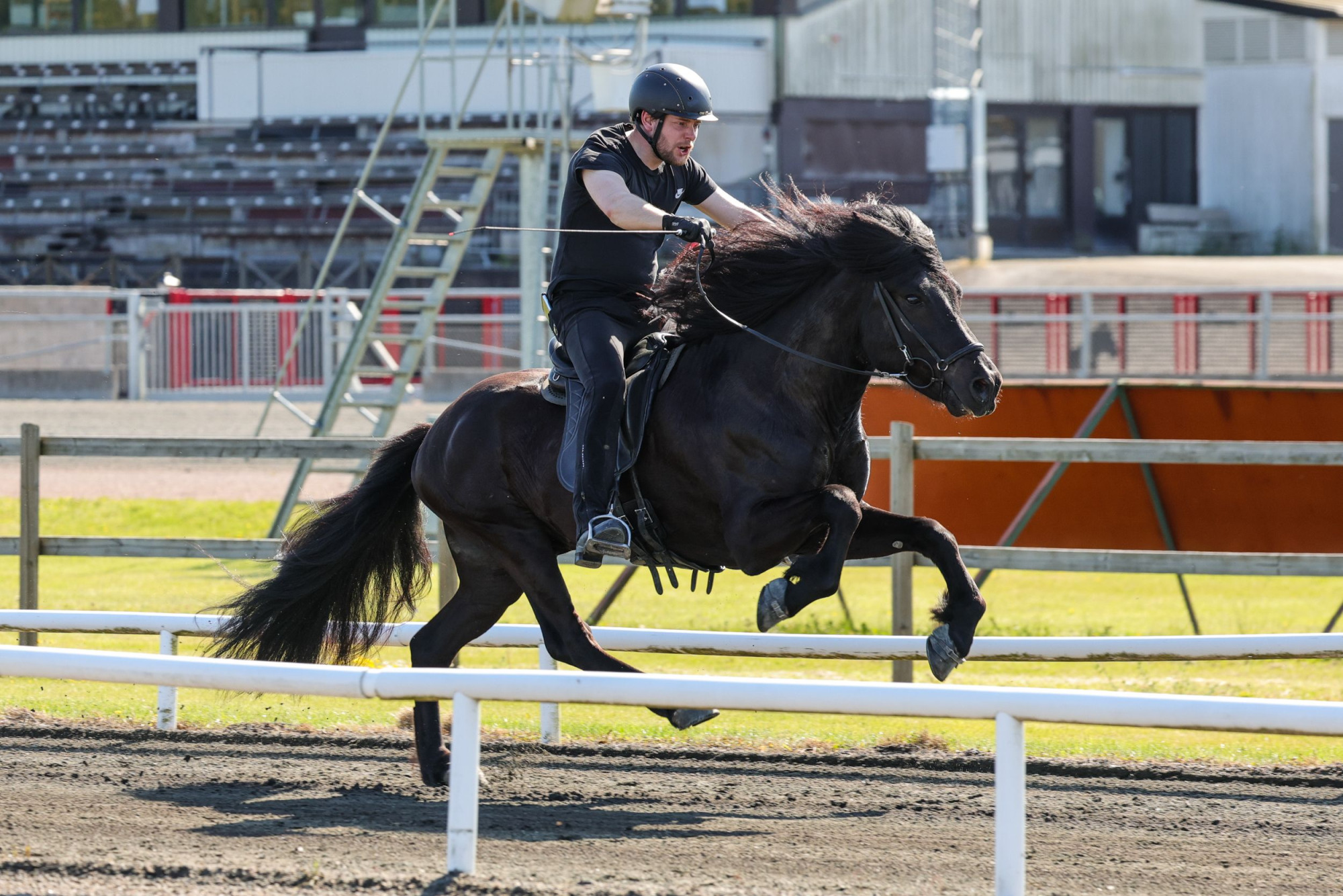 FRI ANV&Auml;NDNING 1 &Aring;R &THORN;rumufleygur Fr&aring;n Gunvarbyn M&aacute;ni Hilmarsson-