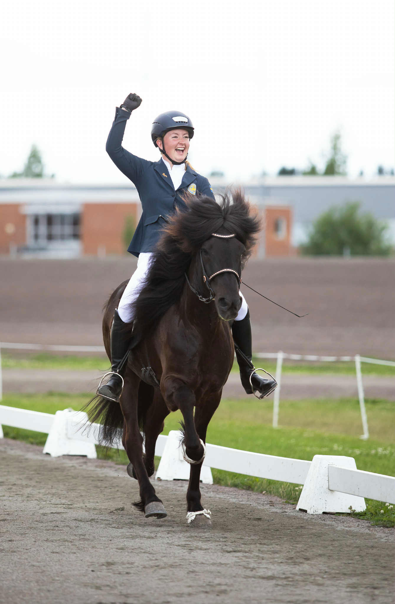 Tove-johansdotter-farsaell