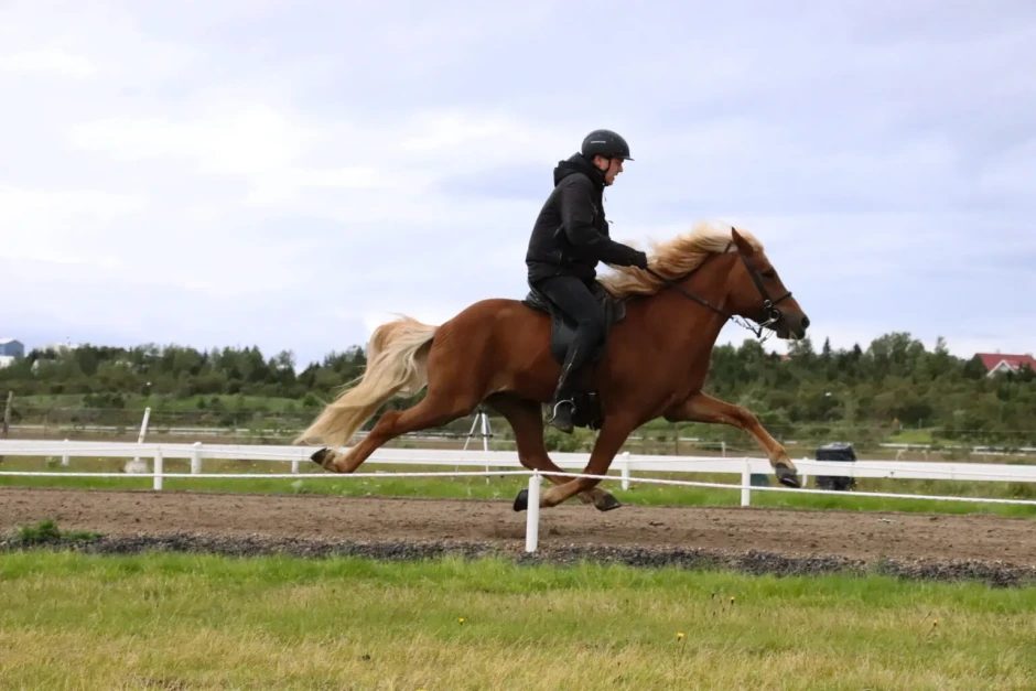 Nytt världsrekord i P1