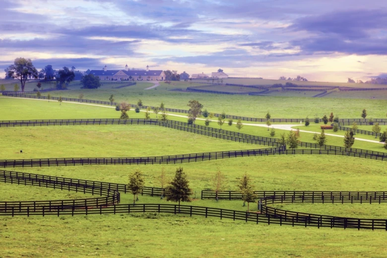 Guide – så mycket kostar det rätta stängslet