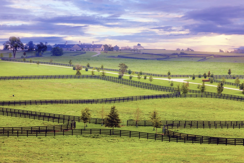 Guide – så mycket kostar det rätta stängslet