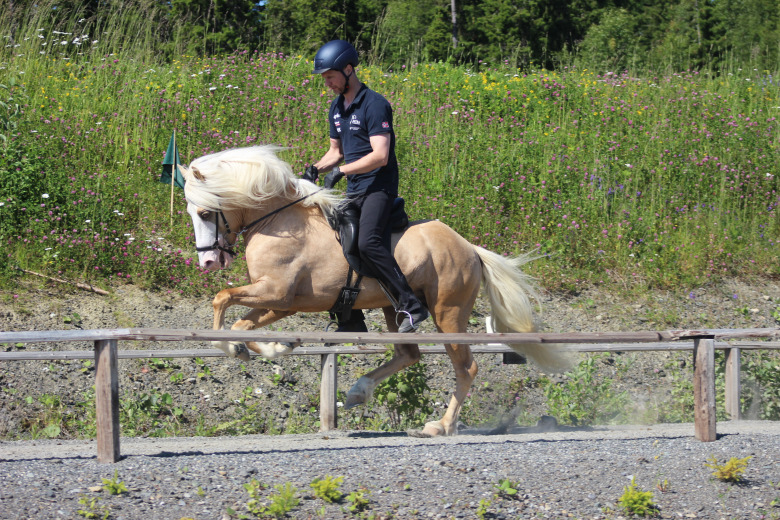 Bildfest: Häng med till avelsbedömningen på Wången