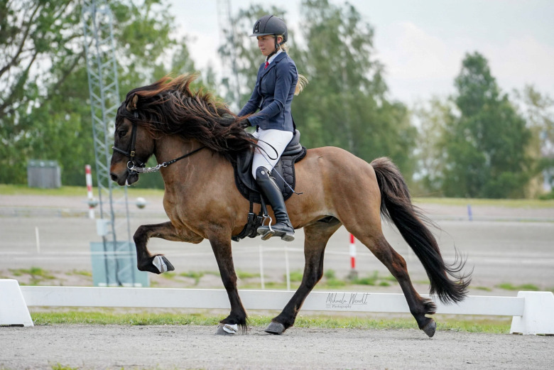 Fritidsmästerskapen – tävlingen där alla får plats