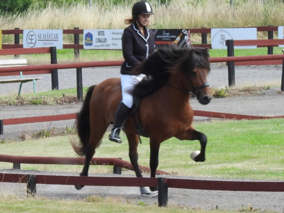 Tidigare SM-vinnaren tog två pallplatser på Strokkur Sommarmeeting