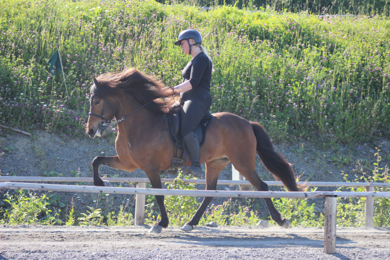 Wången: Meriterat sportsto i topp under lördagen