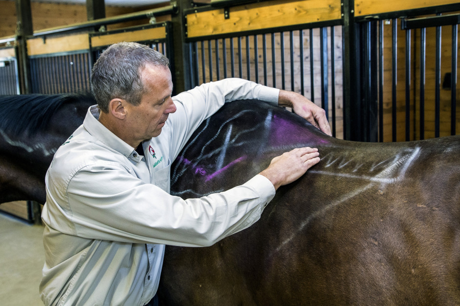 Sadeln ska passa både häst och ryttare: ”Korrekt tryckfördelning är nyckeln”
