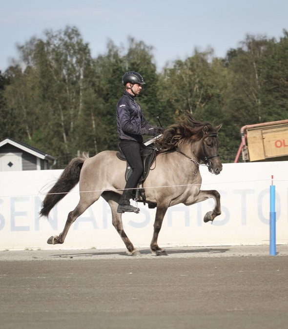 Al&iacute;sa Fr&aring;n Moseg&aring;rden