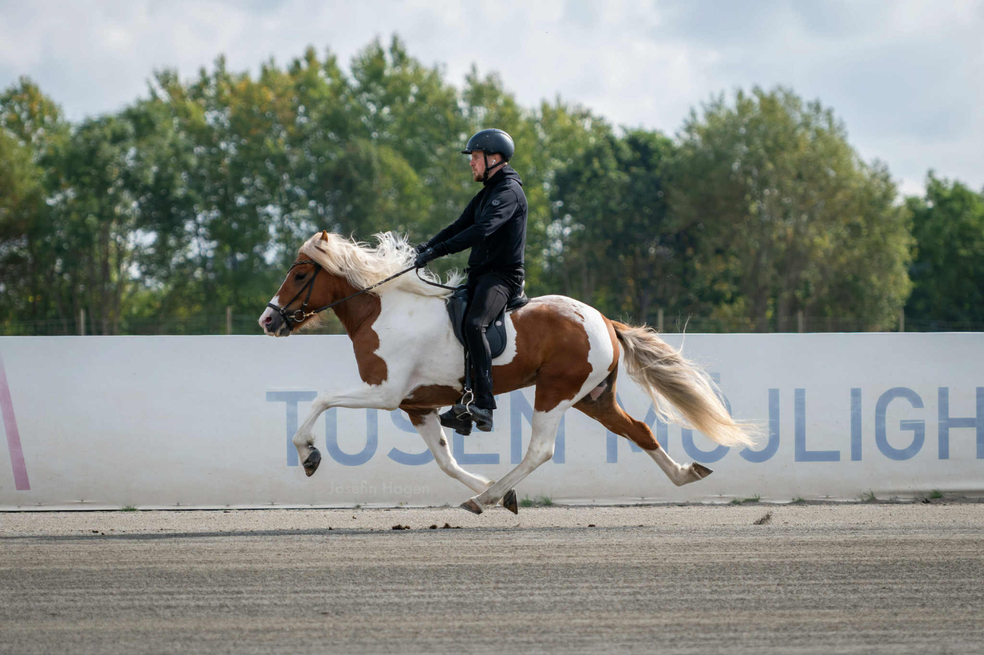 &Aacute;sta Bj&ouml;rnsd&oacute;ttir Fr&aring;n Lindhof