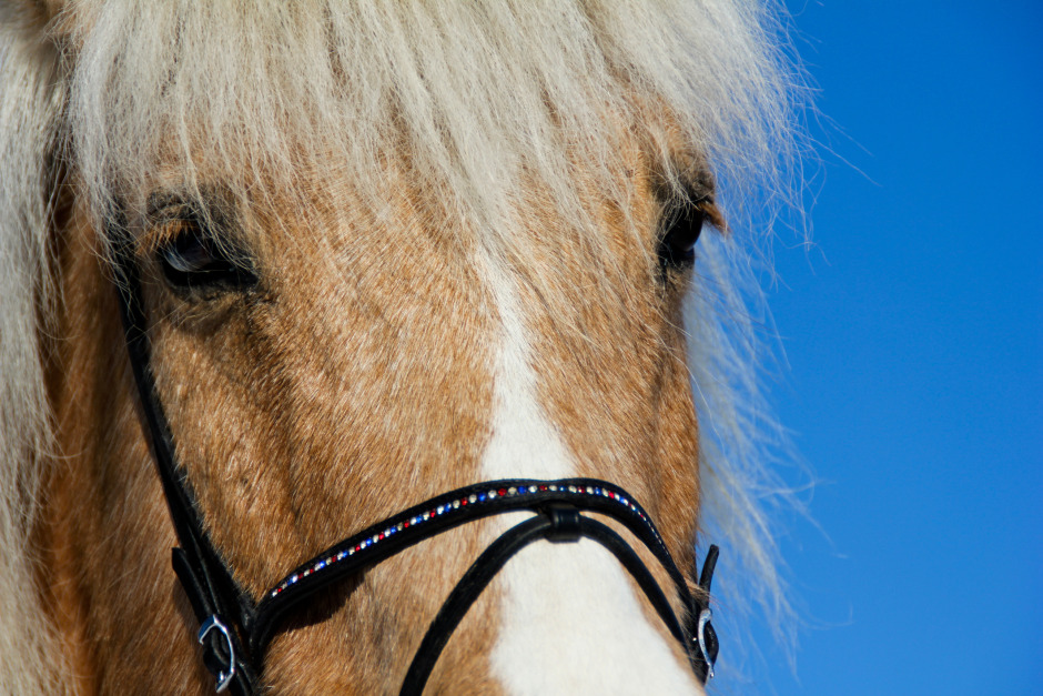 Nya utrustningskrav införs i sporten