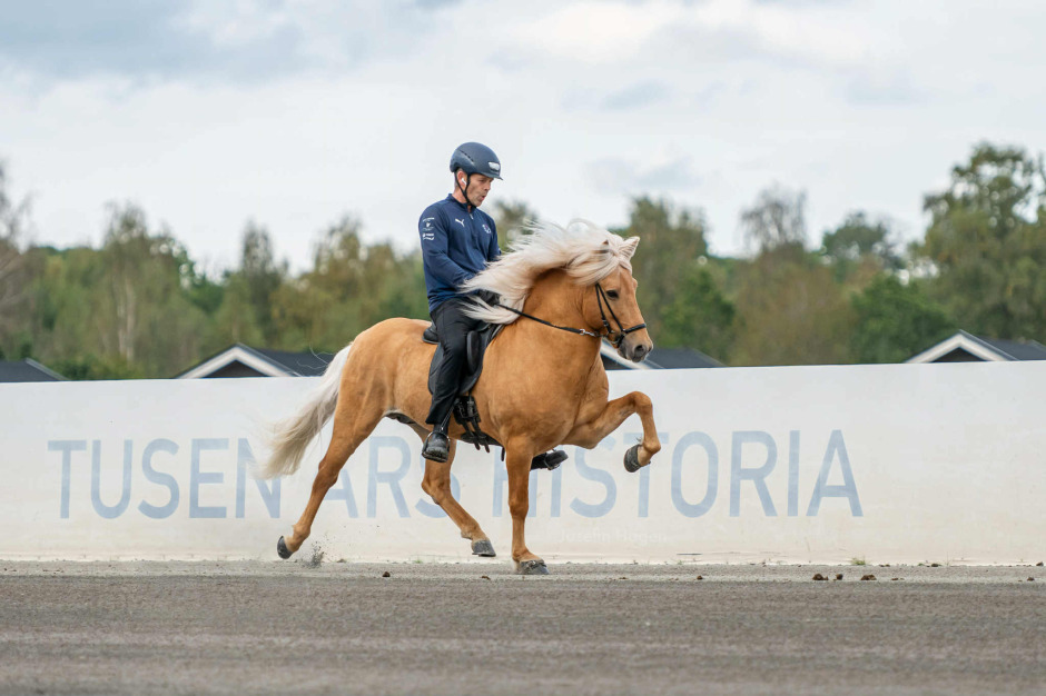 Axevalla: 8,97 i ridegenskaper