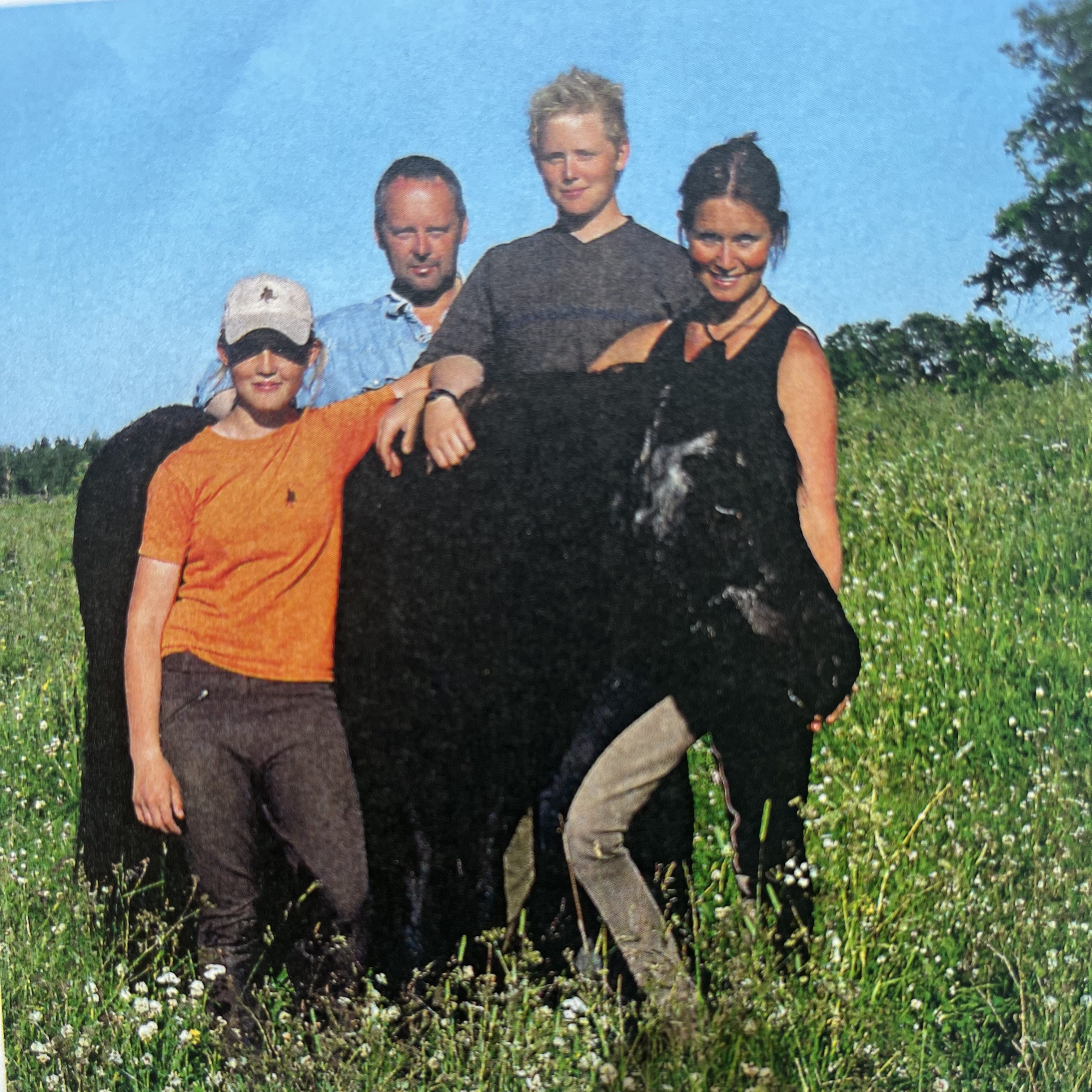 Jenny Mandal med hingsten Dropi 