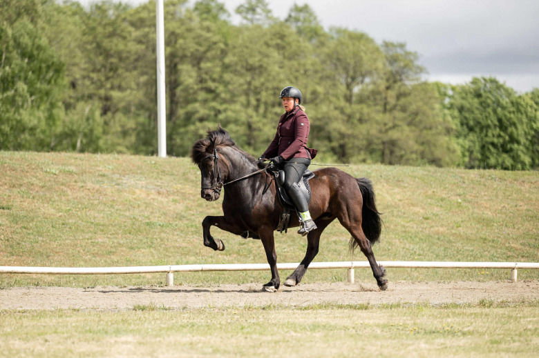Josefin Ewert startade under succén Skånksa Gæðingacupen: ”Bra känsla för framtiden”