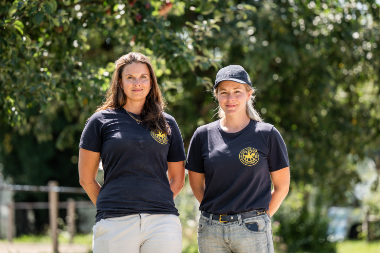 Så håller landslagsteamet hästarna i trim under VM: ”Vi är här för att stötta, inte förändra”