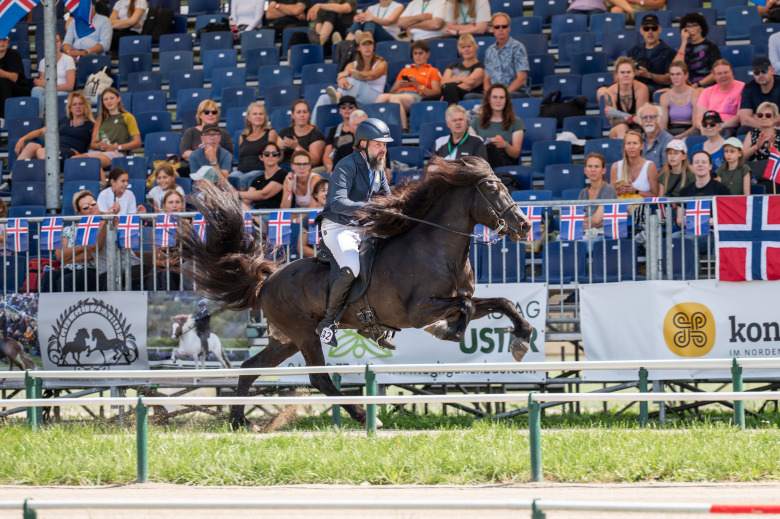 Svenskt silver i hingstklassen – Tyskland dominerade bland stona