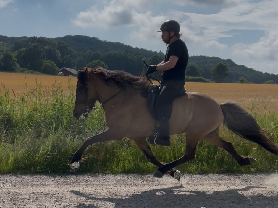 Sigurjón Örn Björnsson på Sigurs dubbla GK-kval: ”Överraskad av hästarna”