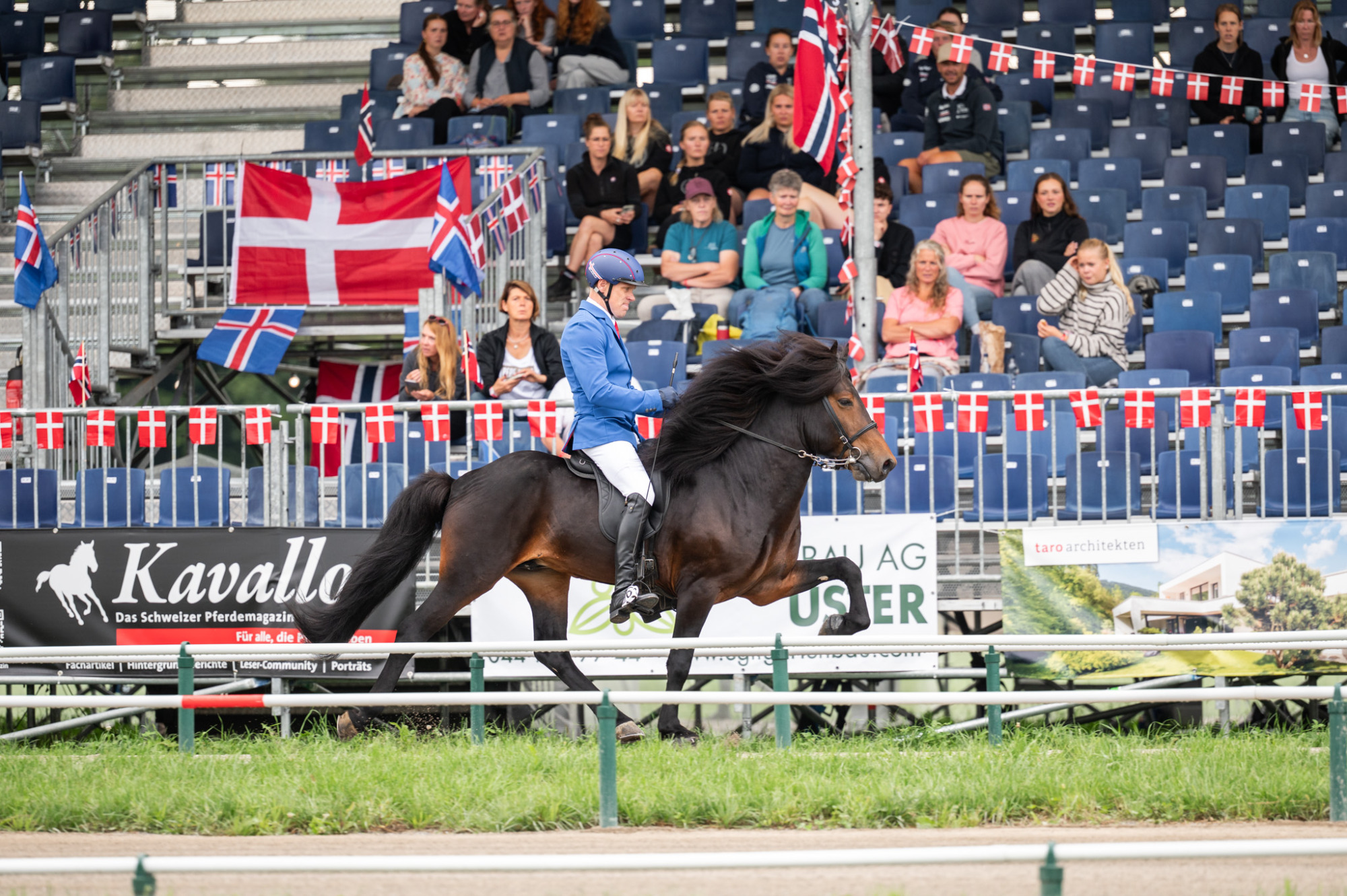 S&ouml;rli Fr&aring;n Lyng&aacute;si 2