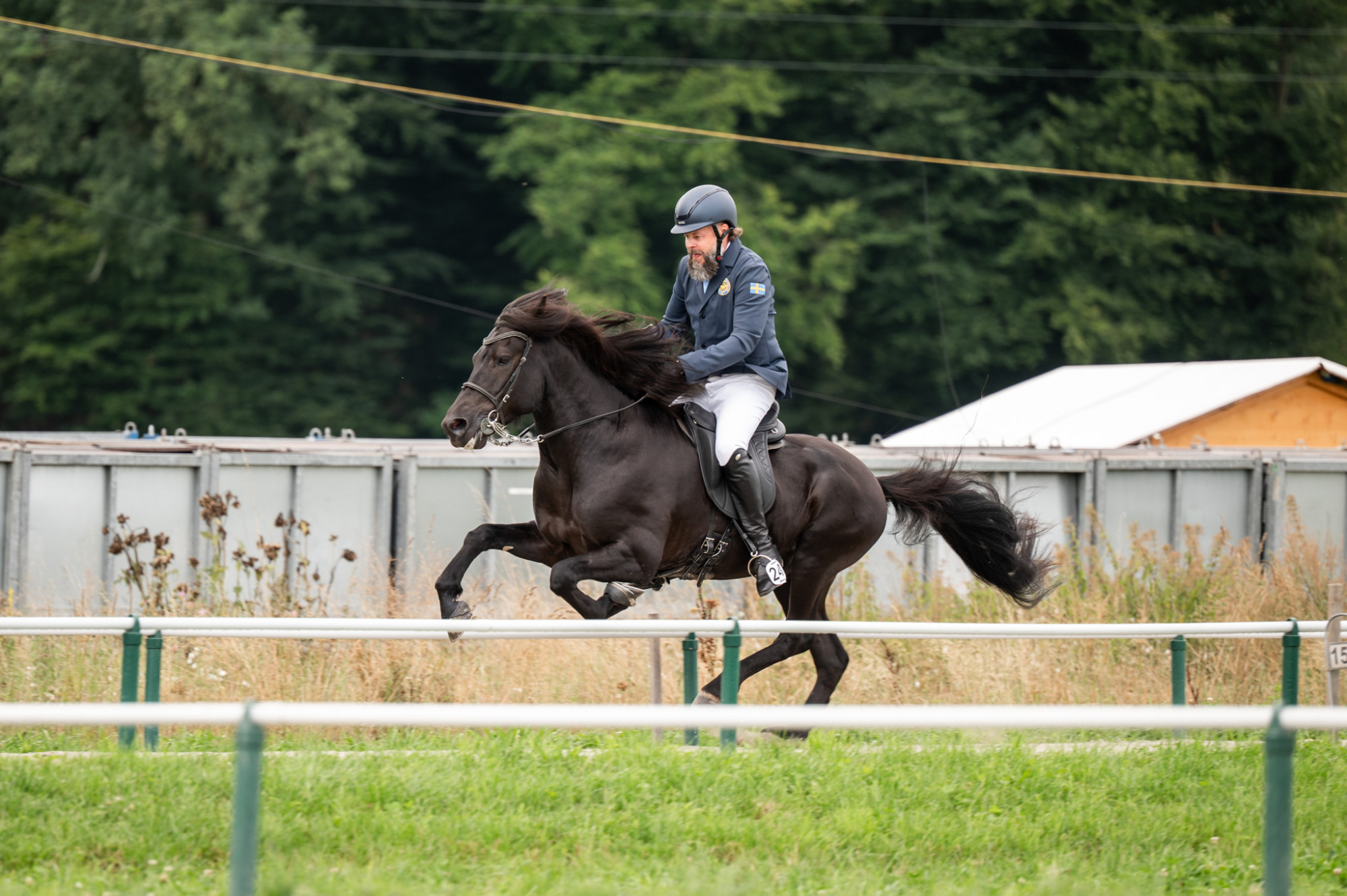 Stali Fr&aring;n Skaneyland 2