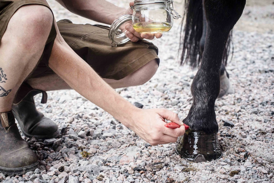 Fett bra för hovarna