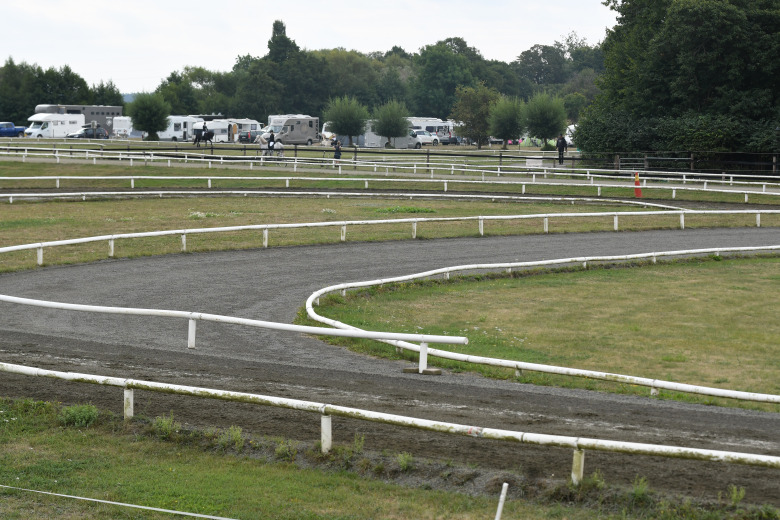 De kommer döma NM 2026