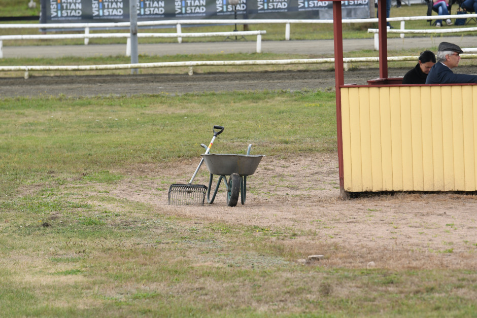 Islandshästföreningar förfaller – få medlemmar hjälper till ideellt