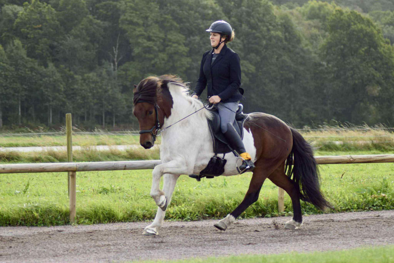 Emma och Lúkas blev klubbmästare i Vinir: ”Ett psyke av guld”