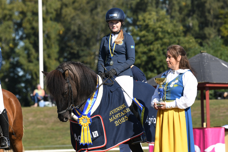 GK-SM: Guldglädje för Minna, Hilma och Jenny