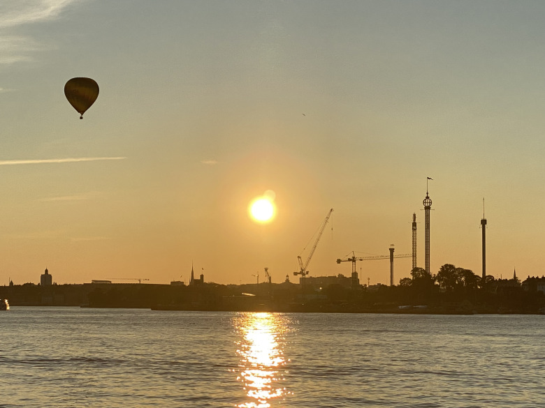 Efter ballonglandning – hästföretagare döms