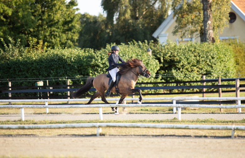 GK-SM: Ledning ger Klara Nydahl guldvittring i GDYA