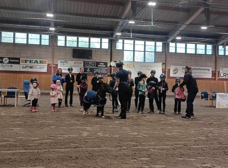 UIHM: ”Vi vill ha en härlig hästfest”