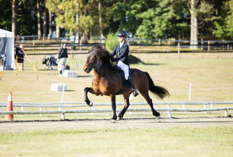 GK-SM: Michelles framgångsvåg fortsätter – leder GDT