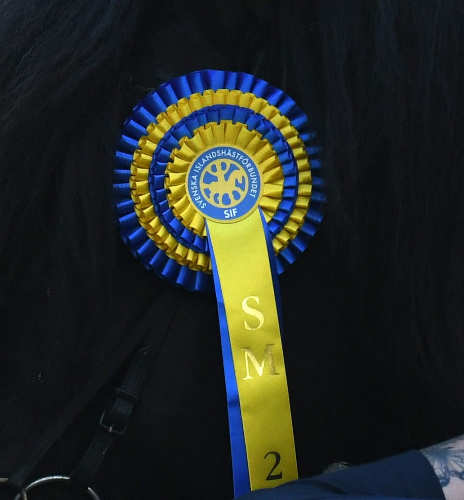 De kan bli Årets GDY-ryttare