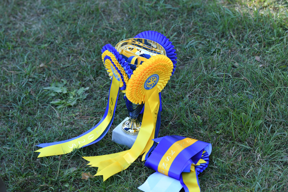 Här är kandidaterna till Årets Sportryttare young rider