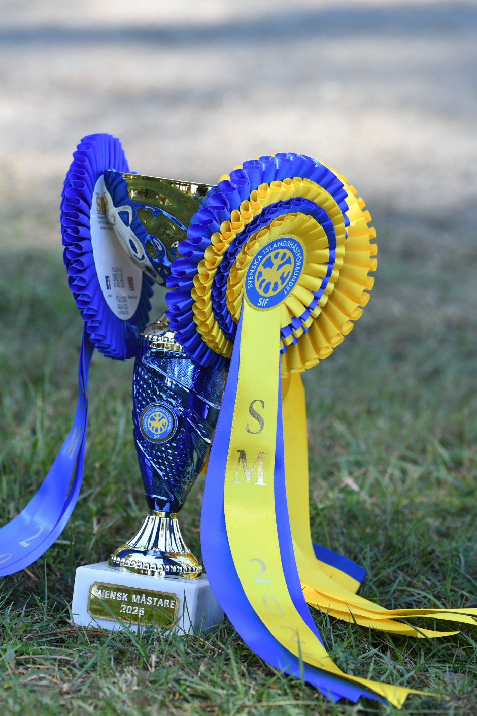 Juniornomineringarna till Årets Sportryttare är släppta