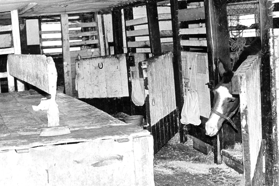 Hosta hos häst – vanligare förr