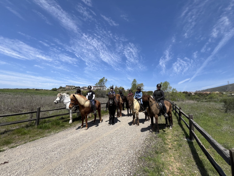 Usa - G&auml;nget Ute P&aring; Ridtur