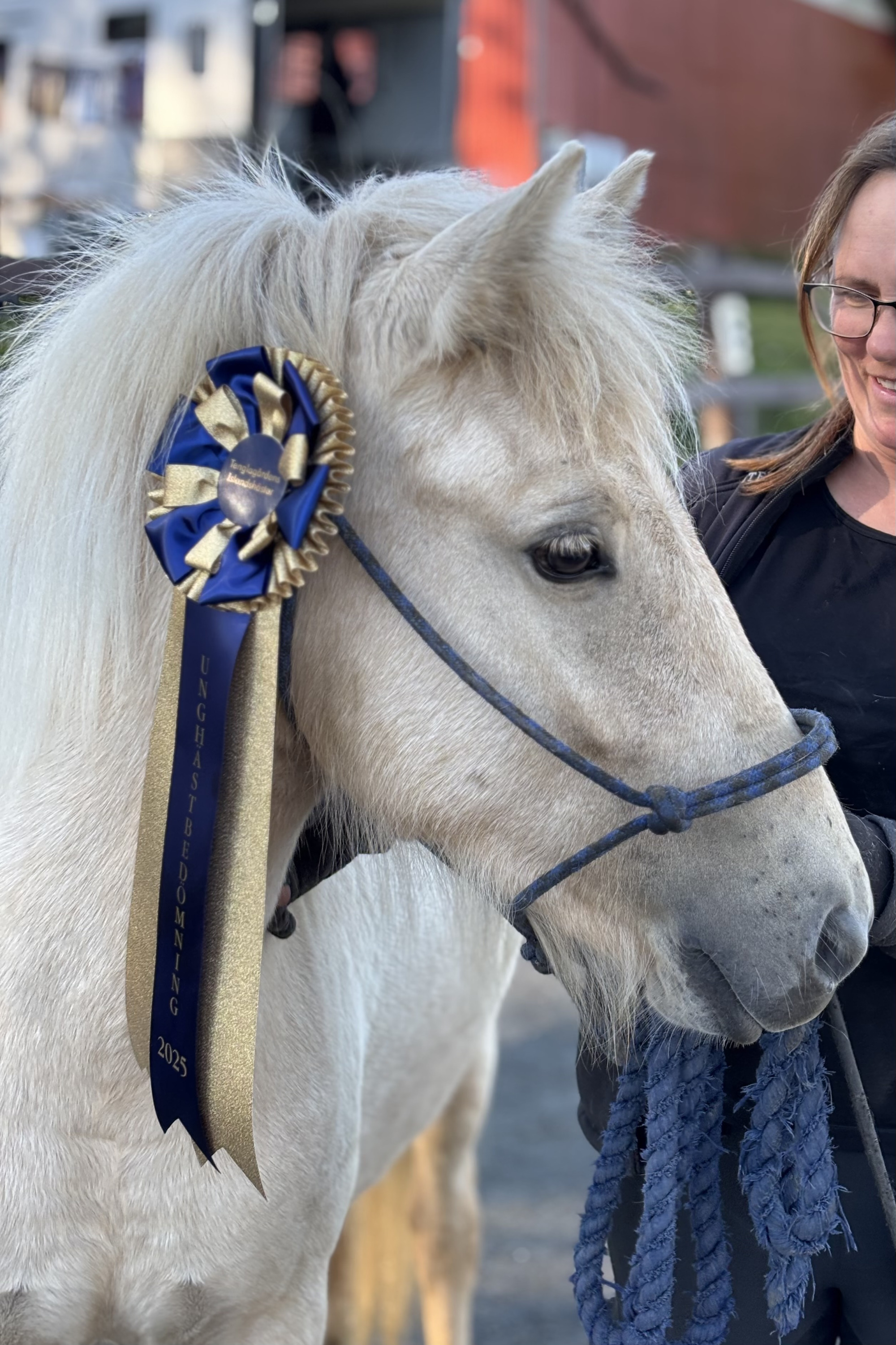 Villimey Fr&aring;n Tenglag&aring;rden