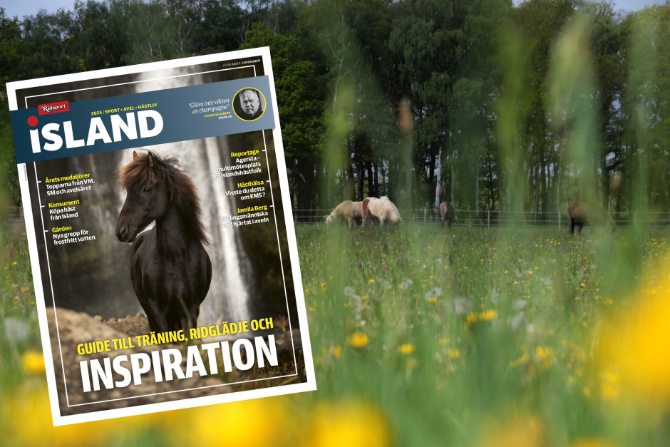 Ridsport Island släpper årets tidning