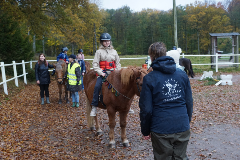 Islandshästar hjälper barn som flytt från Ukraina