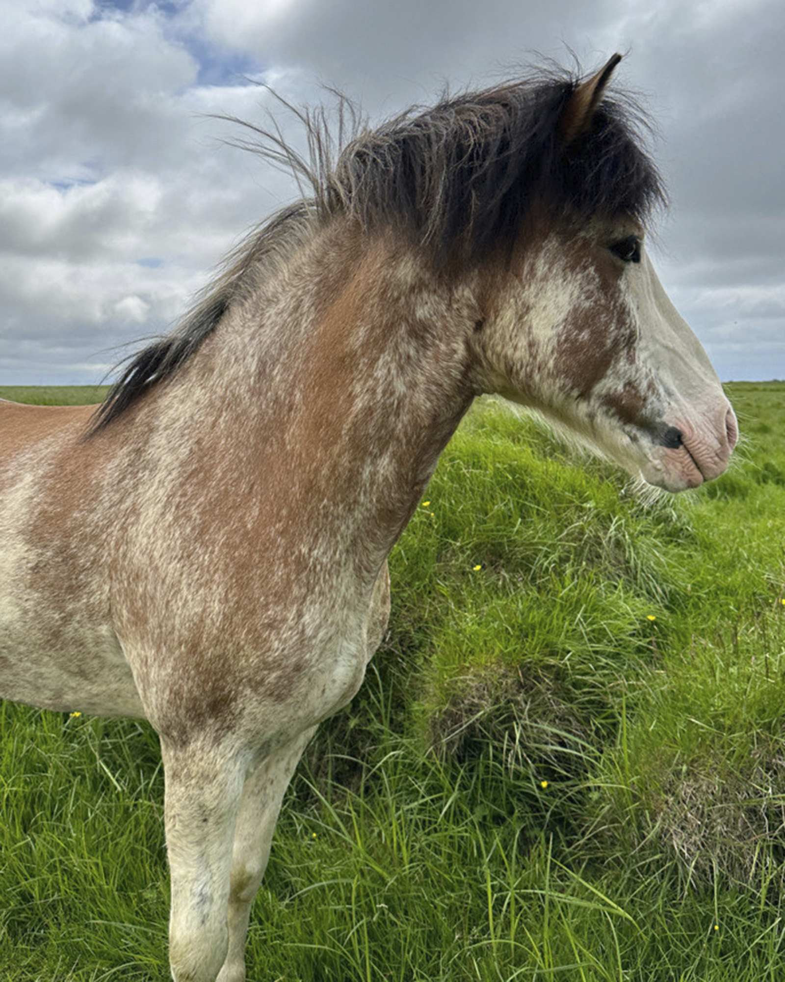 Ellert Foto Ljosmyndari Heitha Sigr&iacute;&eth;ur