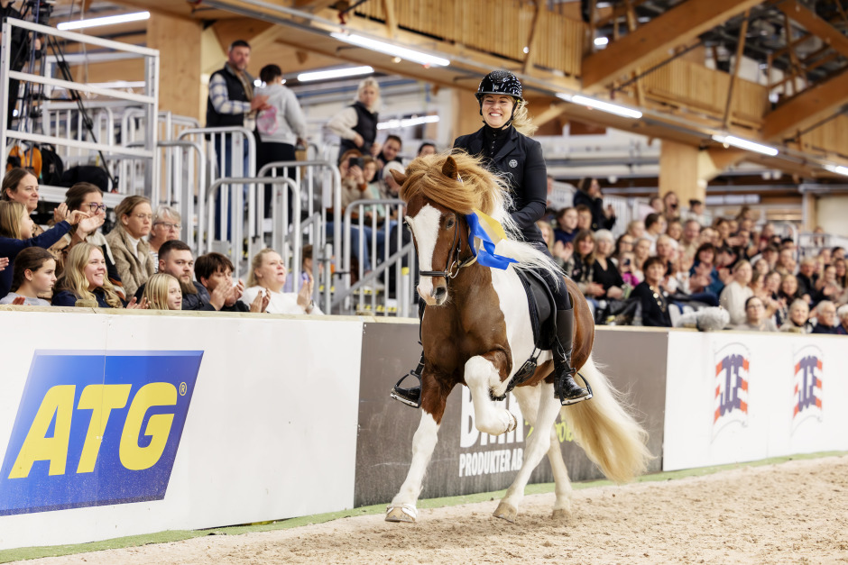 Jenny Nilsson Muskos i topp med två hästar på Sundabakki