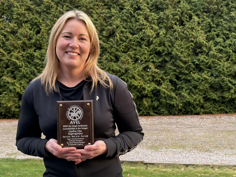 Årets högst bedömda hästar prisades