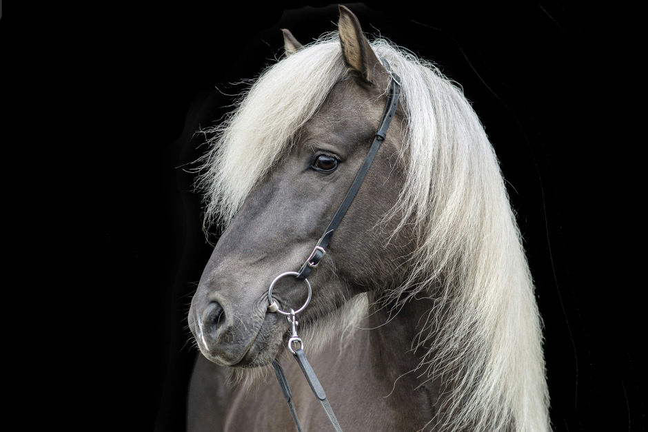 Sätt färg på aveln!