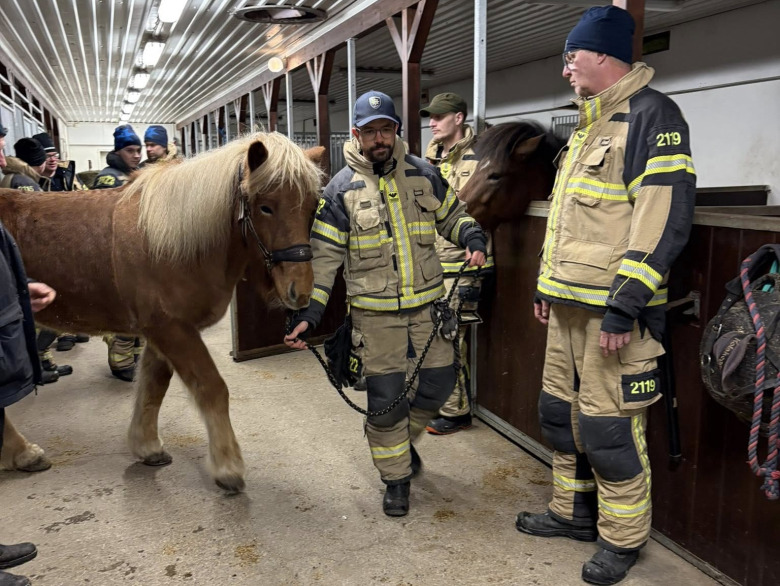 Räddningstjänsten fick öva med världsmästarens hästar