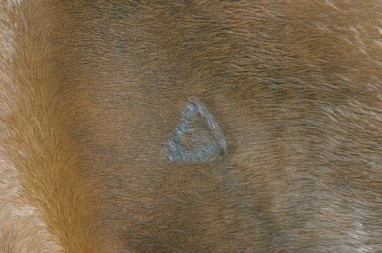 Triangelmärkning stoppas av Jordbruksverket