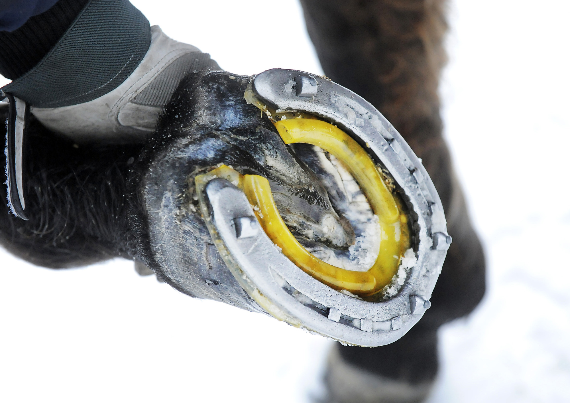 Brodd Snsula Sn Vinter SkorFoto: Jeanette LvgrenP: 2009-24
P: 2011-22