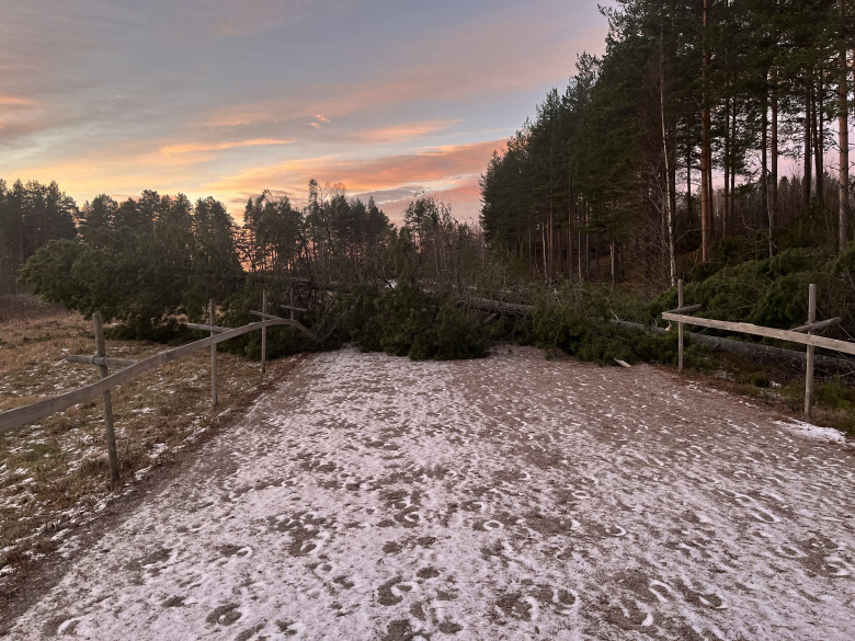 33036e1a-5369-443e-b37b-b755eb1121cd