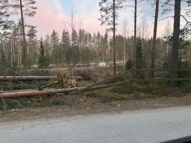 5dd7e283-ffd8-4b36-beca-a201c777600e