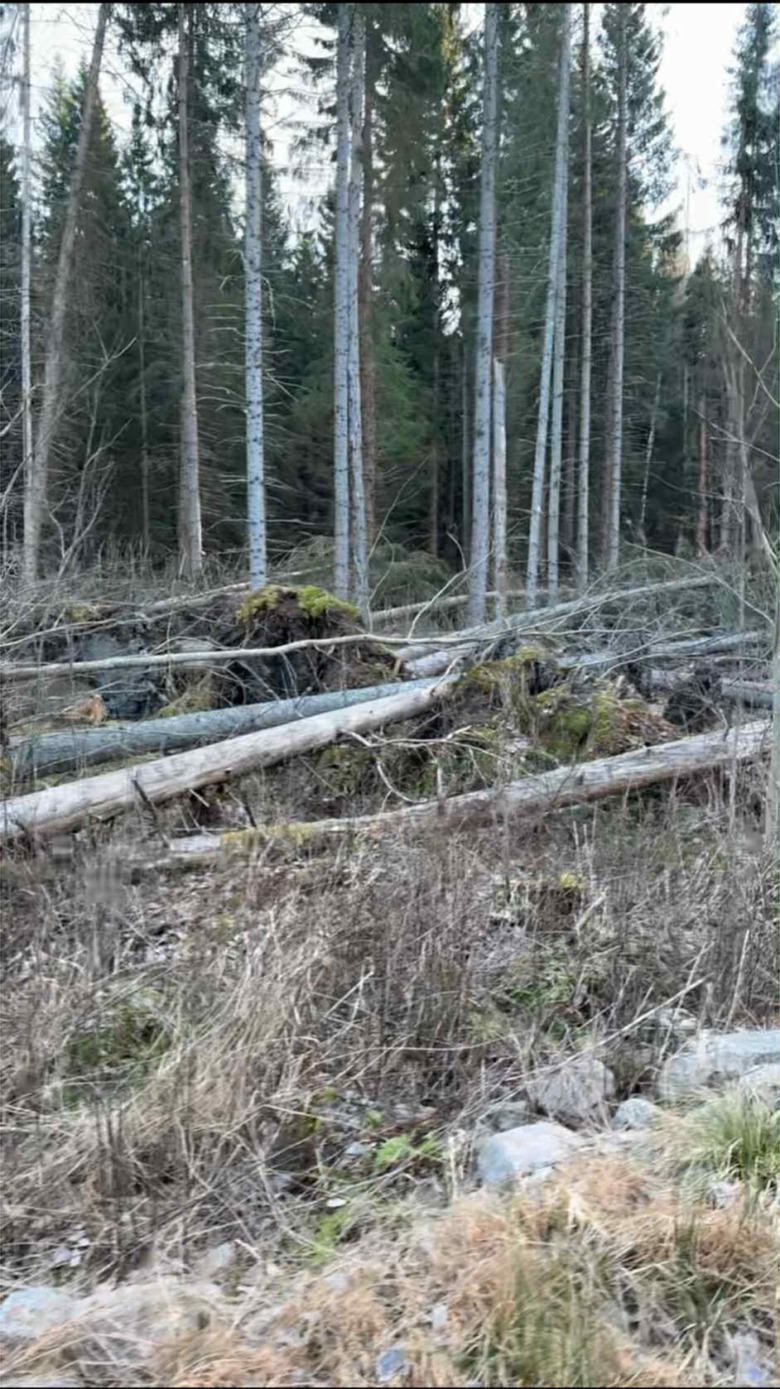 89ab9930-7e33-4980-a5e2-0fdb2046ca8d Kopiera